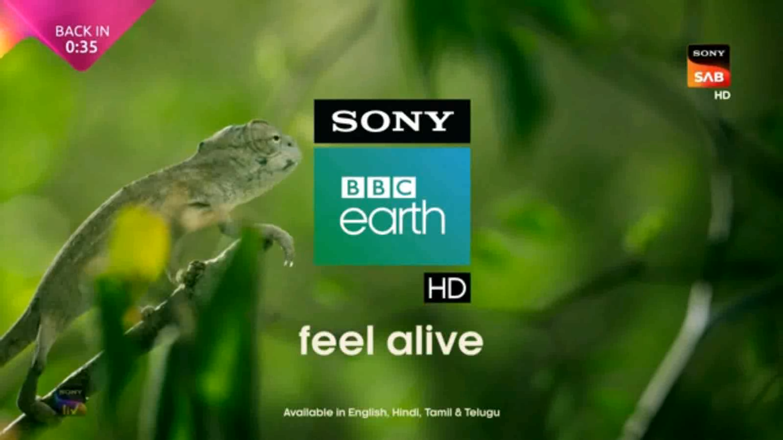 your unscheduled sony bbc earth intermission 2.png